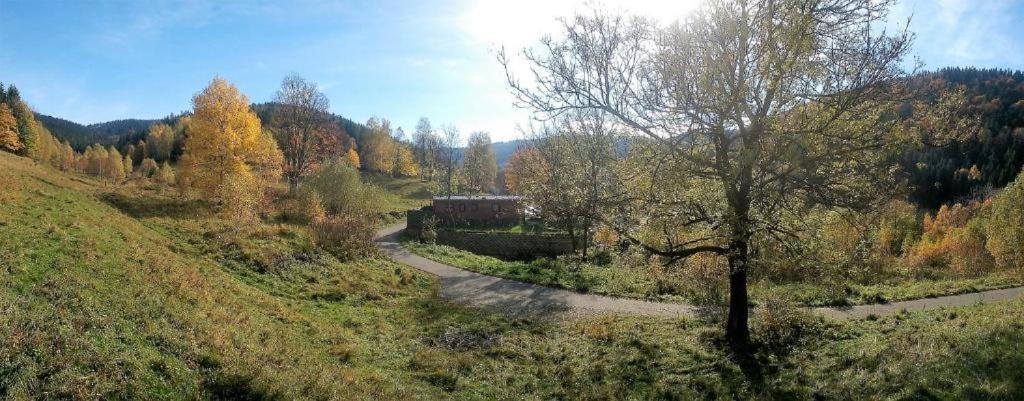 Krolikowka Stronie Śląskie Rom bilde